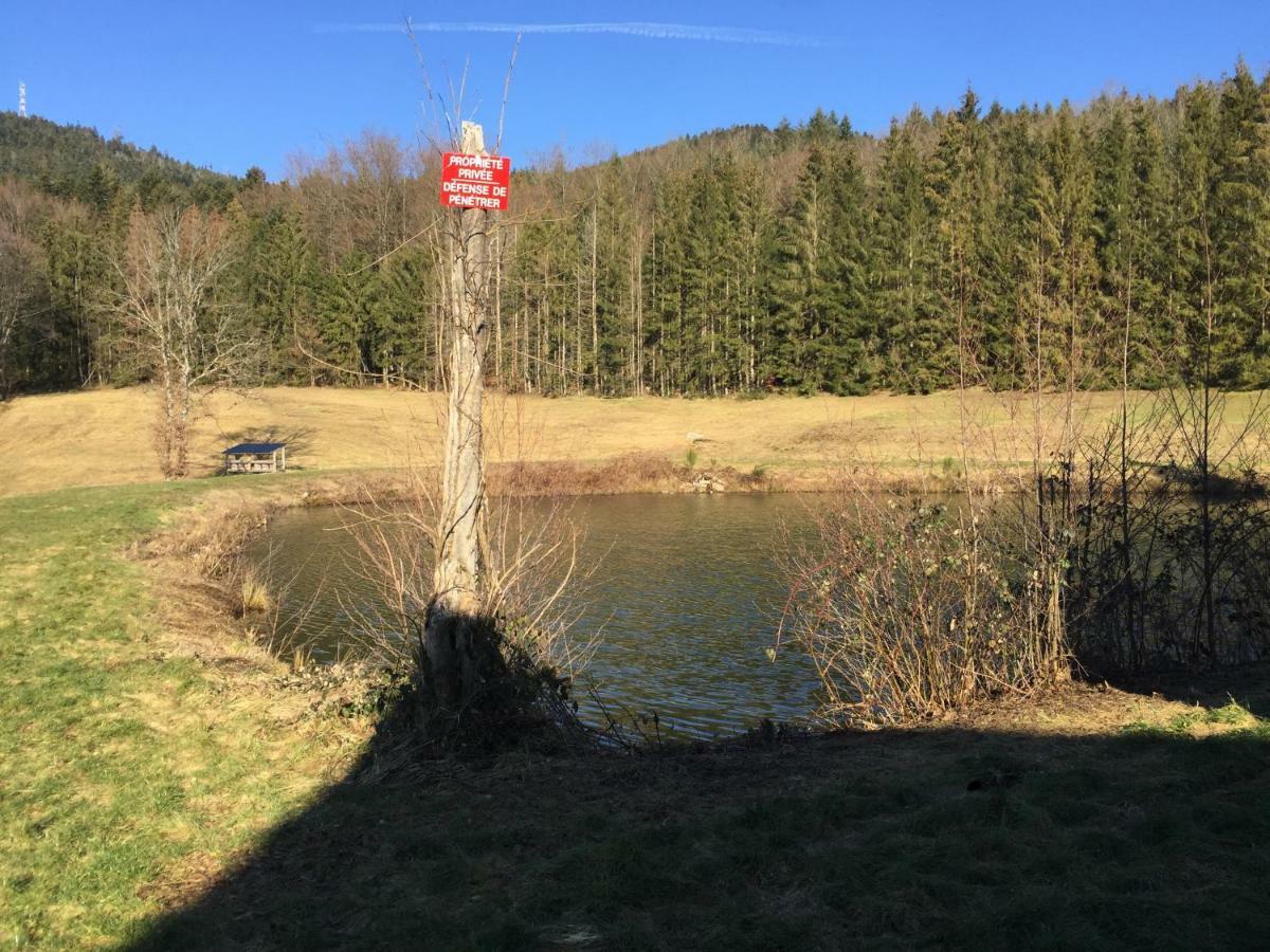 Grand Standing Dans Cadre Idyllique Saint-Etienne-les-Remiremont